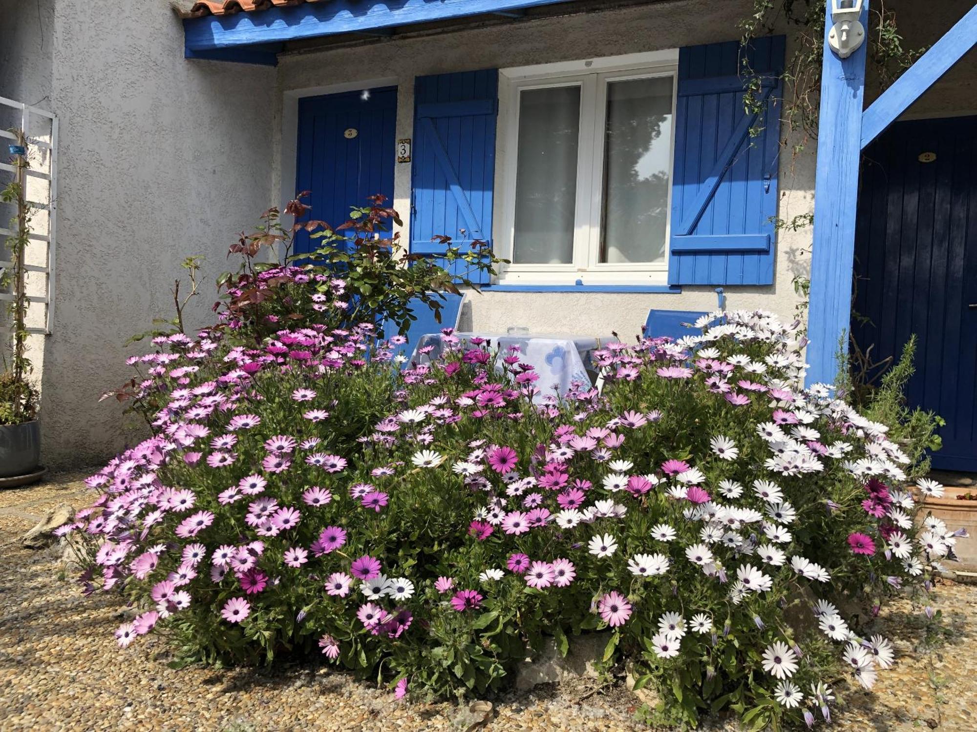 Hotel Des 4 Vents "Esprit Camargue" Aigues-Mortes Exterior foto
